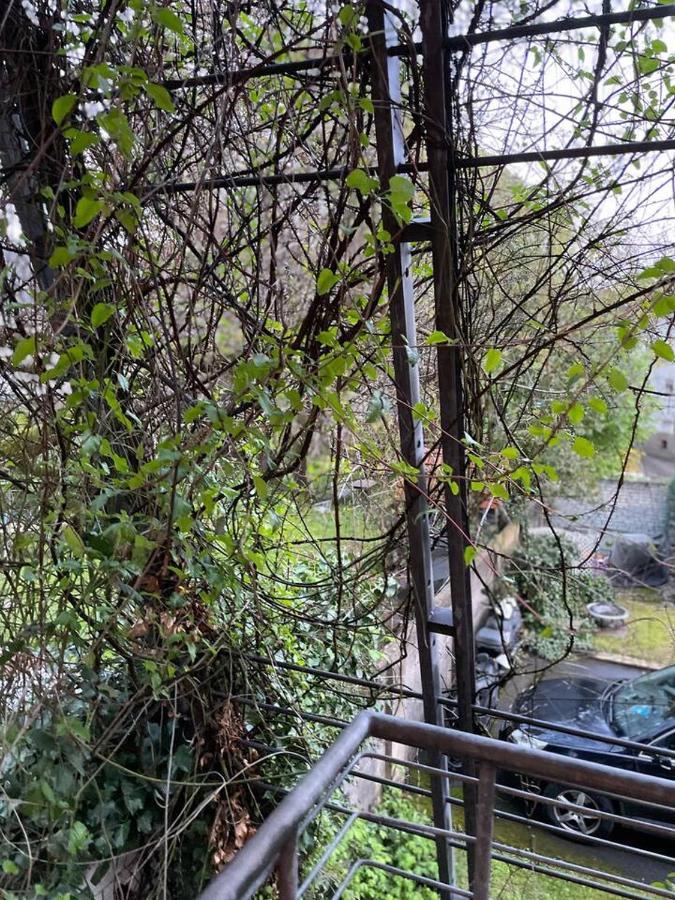 Schoene Wohnung In Zentraler Lage Im Ruhrgebiet Witten Exterior foto